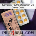 Kamagra 100Mg Utilisation De Gelée Orale 41